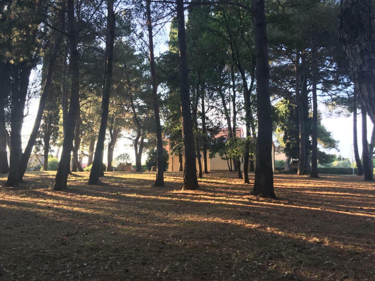 Pribetic Apartment Porec